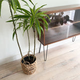 Mid Century Petite Curio Cabinet