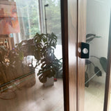 Mid Century Walnut Curio Cabinet