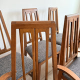 Set of 6 Young Dining Chairs - New Upholstery