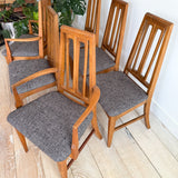 Set of 6 Young Dining Chairs - New Upholstery
