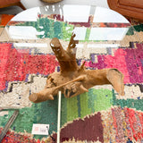 Root Base Glass Top Coffee Table