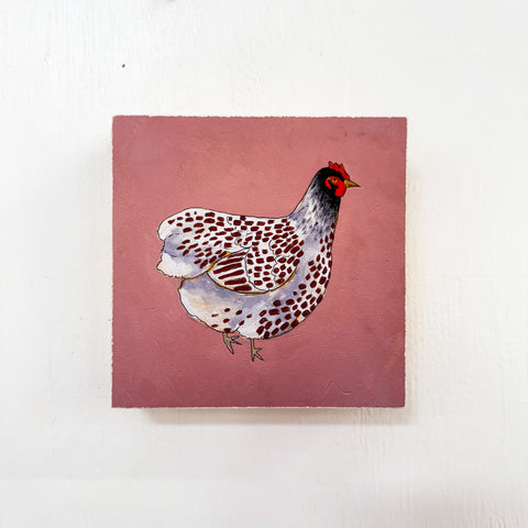 6x6 Blue Lace Wyandotte - Mounted Print
