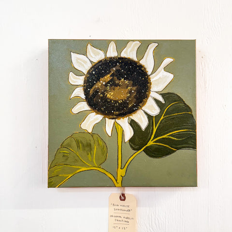 Big White Sunflower 12x12 Original Painting