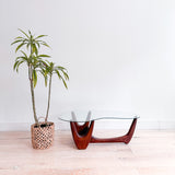 Mid Century Amoeba Shape Coffee Table