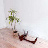 Mid Century Amoeba Shape Coffee Table