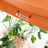 Rasmus Teak Dining Table w/ 2 Leaves