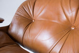 Eames Style Selig Lounge Chair and Ottoman