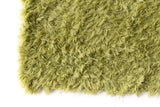 Green Shag Rug