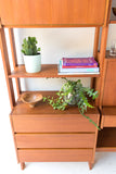 Mid Century Teak Wall Unit