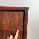 Walnut Louvered Front Low Dresser