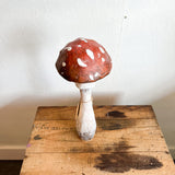 15” Plaster Fungi