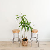 Pair of Chrome Bar Stools