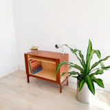 HG Danish Teak Media Cabinet