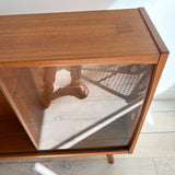 Danish Teak Curio Cabinet