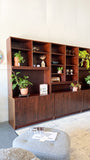 Danish Rosewood Wall Unit