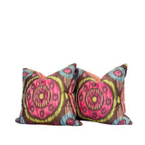 20" Multicolor Circles (Pair with Inserts)