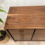 Walnut 9 Drawer Low Dresser