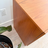 Danish Teak Buffet/Record Cabinet (B)