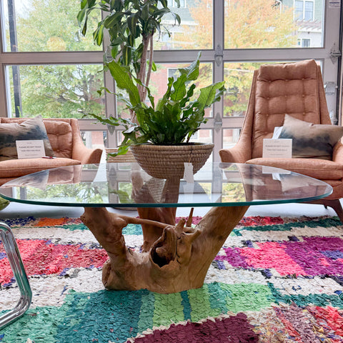 Root Base Glass Top Coffee Table