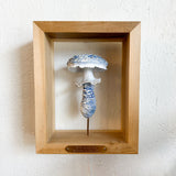 Blue Roundhead Fungi Shadow Box