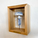 Blue Roundhead Fungi Shadow Box