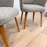 Pair of Thonet Chairs - New Upholstery