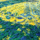 Blue/Chartreuse Rya Rug - 7'6x10'9