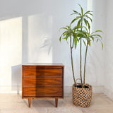 Mid Century Dixie Nightstand