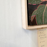 "Magnolia no. iv" 10x10 Original Painting