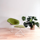 Knoll Bertoia Diamond Chair