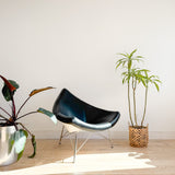 Coconut Chair Replica