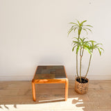 Gangso Mobler Solid Teak Square Table with Slate Top