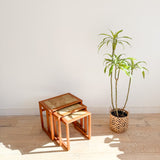 Set of Danish Teak Nesting Tables with Tile Tops