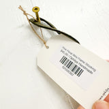 Pink Floral Wire Frame Stocking