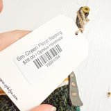 Sm Green Floral Stocking