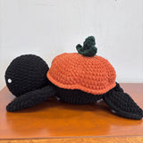 Pumpkin Turtle
