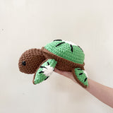 Coco Turtle L