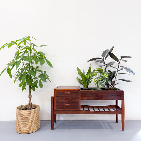 RARE Rosewood Planter - A