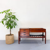 RARE Rosewood Planter - B