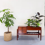 RARE Rosewood Planter - B