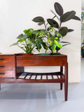 RARE Rosewood Planter - B