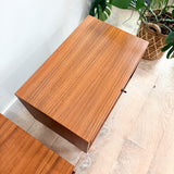 Pair of Kipp Stewart for Calvin Nightstands