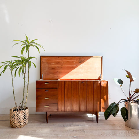 Unique Tall Cedar Chest