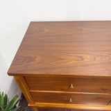 Mid Century 15 Drawer Magna Chest