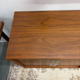 Vintage Danish Teak 8 Drawer