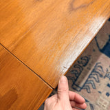 Danish Teak Dining Room Table with Hidden Leaves