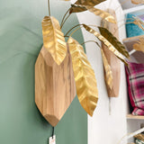 Calathea Lancifolia v.5 Wall Sculpture