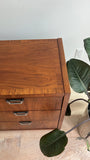 Walnut + Rosewood Stanley Low Dresser