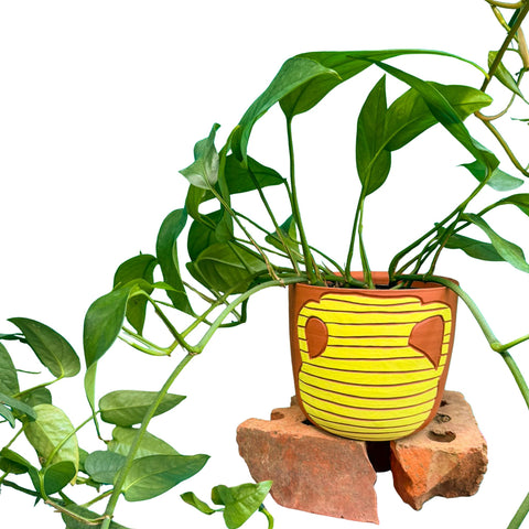 Vase Chartreuse Terra Cotta Pot 4"