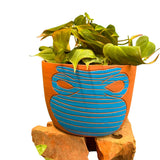 Vase Blue Terra Cotta Pot 6"